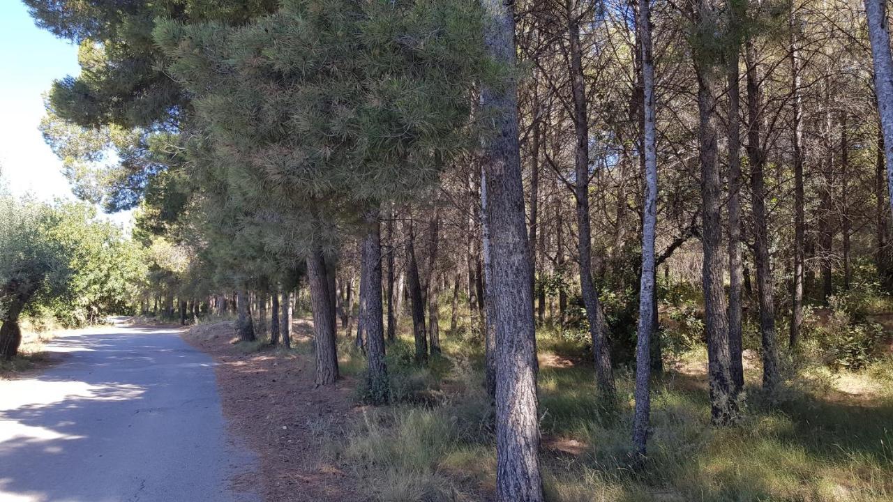 Relax, barbacoa, senderismo Villa Segorbe Bagian luar foto